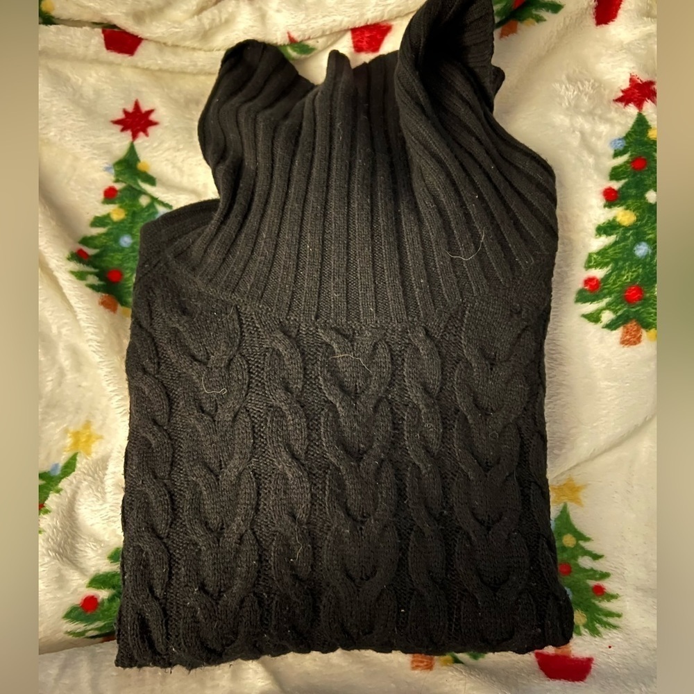 Banana Republic Women's Turtle Neck Sweater